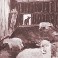 Sheepfold